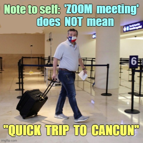 Judge, robbing the bank was my WIFE'S idea ... | 'ZOOM  meeting'
does  NOT  mean; Note to self:; "QUICK  TRIP  TO  CANCUN" | image tagged in ted cruz cancun,rick75230,ted cruz,cancun,texas,republicans | made w/ Imgflip meme maker