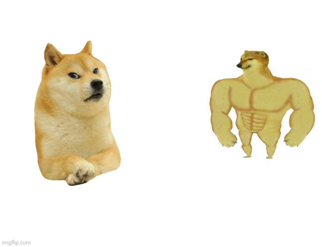 Doge vs buff cheems Blank Meme Template