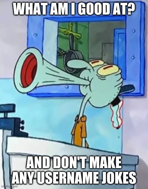 don't mind the pic | WHAT AM I GOOD AT? AND DON'T MAKE ANY USERNAME JOKES | image tagged in wtf,squidward,spongebob,cursed image | made w/ Imgflip meme maker