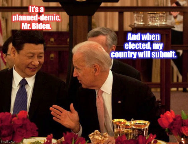How the Biden won.  How China won. | It’s a planned-demic, Mr. Biden. And when elected, my country will submit. | image tagged in biden xi,joe biden,plannedemic,china | made w/ Imgflip meme maker