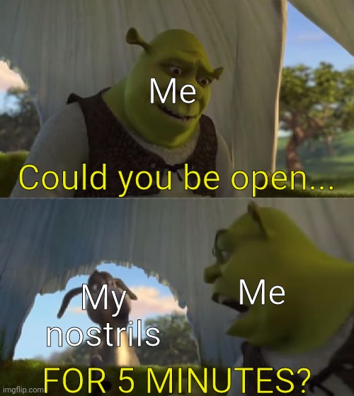 Fr tho i hate my nostrils | Me; Could you be open... Me; My nostrils; FOR 5 MINUTES? | image tagged in could you not ___ for 5 minutes | made w/ Imgflip meme maker