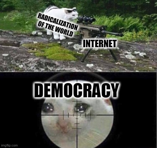 Sniper cat | RADICALIZATION
OF THE WORLD; INTERNET; DEMOCRACY | image tagged in sniper cat | made w/ Imgflip meme maker