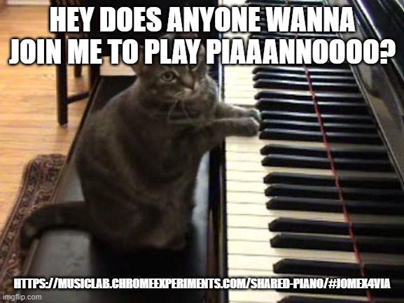 cat piano | HEY DOES ANYONE WANNA JOIN ME TO PLAY PIAAANNOOOO? HTTPS://MUSICLAB.CHROMEEXPERIMENTS.COM/SHARED-PIANO/#JOMEX4VIA | image tagged in cat piano | made w/ Imgflip meme maker