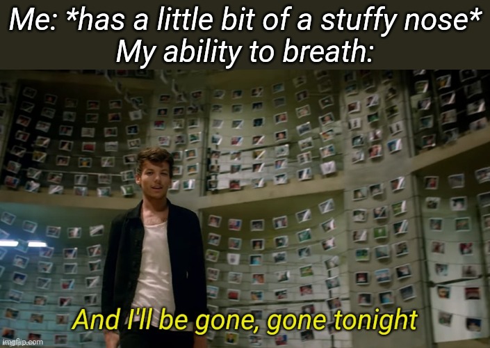 And I'll be gone gone tonight | Me: *has a little bit of a stuffy nose*
My ability to breath: | image tagged in and i'll be gone gone tonight | made w/ Imgflip meme maker