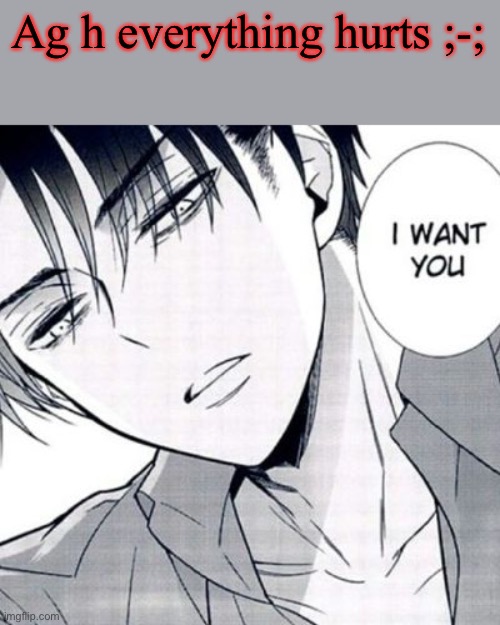 Horny Levi | Ag h everything hurts ;-; | image tagged in horny levi | made w/ Imgflip meme maker