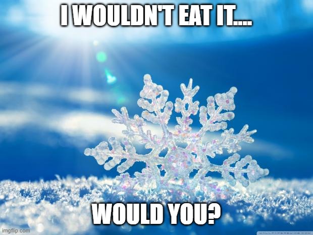 Don't let the little ones eat the snow | I WOULDN'T EAT IT.... WOULD YOU? | image tagged in snowflake | made w/ Imgflip meme maker