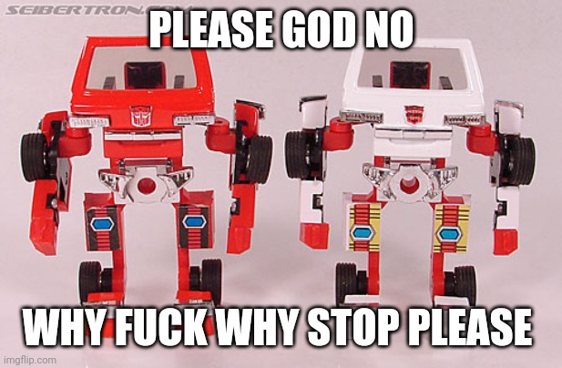 PLEASE GOD NO; WHY FUCK WHY STOP PLEASE | made w/ Imgflip meme maker
