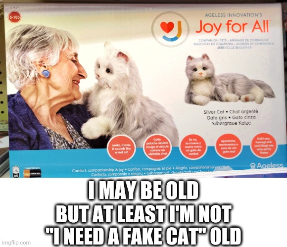 Fake cats for old people | I MAY BE OLD; BUT AT LEAST I'M NOT "I NEED A FAKE CAT" OLD | image tagged in fake old people cat,funny,cat,funny cats,creepy | made w/ Imgflip meme maker