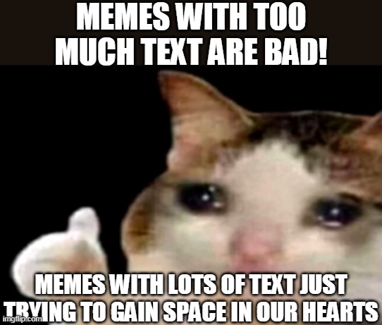Sad cat thumbs up | MEMES WITH TOO
MUCH TEXT ARE BAD! MEMES WITH LOTS OF TEXT JUST
TRYING TO GAIN SPACE IN OUR HEARTS | image tagged in sad cat thumbs up | made w/ Imgflip meme maker