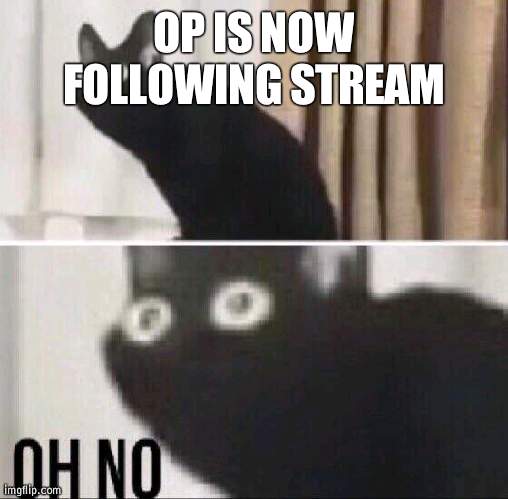We must be out of control for why he is following | OP IS NOW FOLLOWING STREAM | image tagged in oh no cat,olympianproduct | made w/ Imgflip meme maker