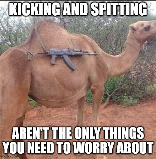 KICKING AND SPITTING; AREN'T THE ONLY THINGS YOU NEED TO WORRY ABOUT | made w/ Imgflip meme maker