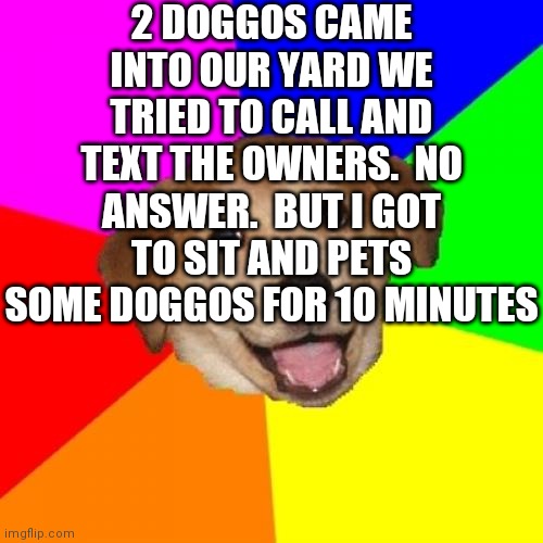 Advice Dog Meme | 2 DOGGOS CAME INTO OUR YARD WE TRIED TO CALL AND TEXT THE OWNERS.  NO ANSWER.  BUT I GOT TO SIT AND PETS SOME DOGGOS FOR 10 MINUTES | image tagged in memes,advice dog | made w/ Imgflip meme maker