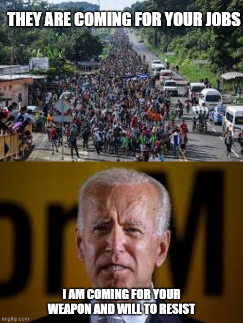 Illegal felon flood | THEY ARE COMING FOR YOUR JOBS; I AM COMING FOR YOUR WEAPON AND WILL TO RESIST | image tagged in joe biden,illegal immigration | made w/ Imgflip meme maker