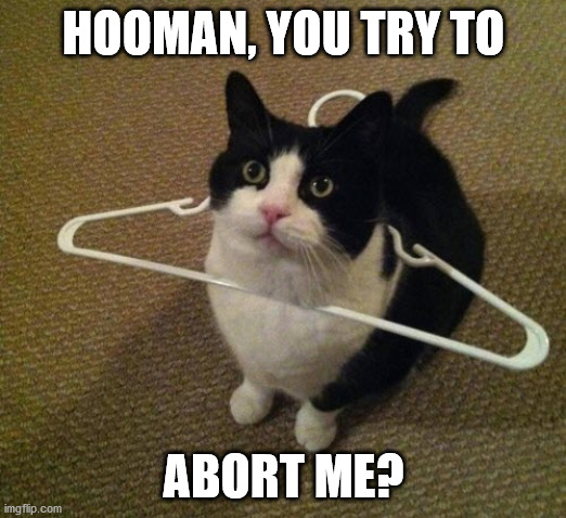 Hooman | HOOMAN, YOU TRY TO ABORT ME? | image tagged in hooman | made w/ Imgflip meme maker