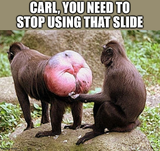 Monkey butt | CARL, YOU NEED TO STOP USING THAT SLIDE | image tagged in monkey butt | made w/ Imgflip meme maker