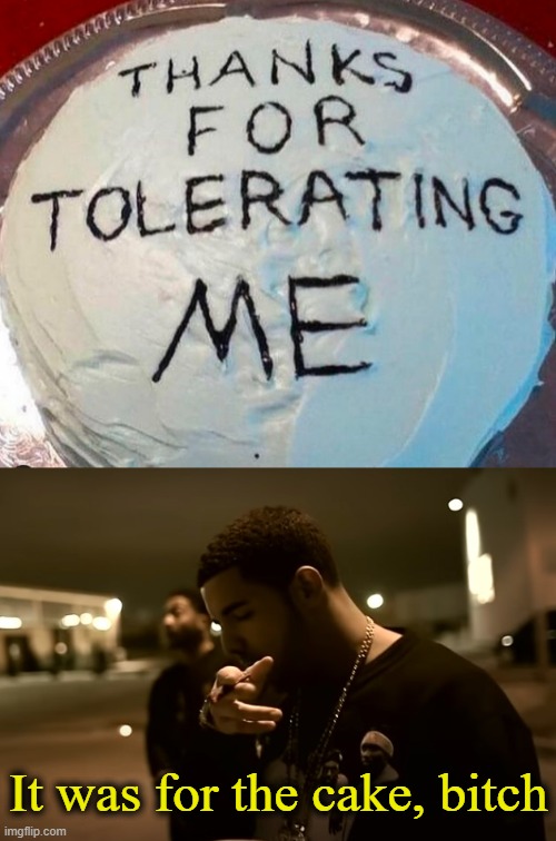 It was for the cake, bitch | image tagged in drizzy got it | made w/ Imgflip meme maker