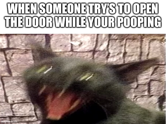 WHEN SOMEONE TRY’S TO OPEN THE DOOR WHILE YOUR POOPING | image tagged in funny | made w/ Imgflip meme maker