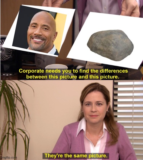 rock | image tagged in memes,they're the same picture,funny | made w/ Imgflip meme maker