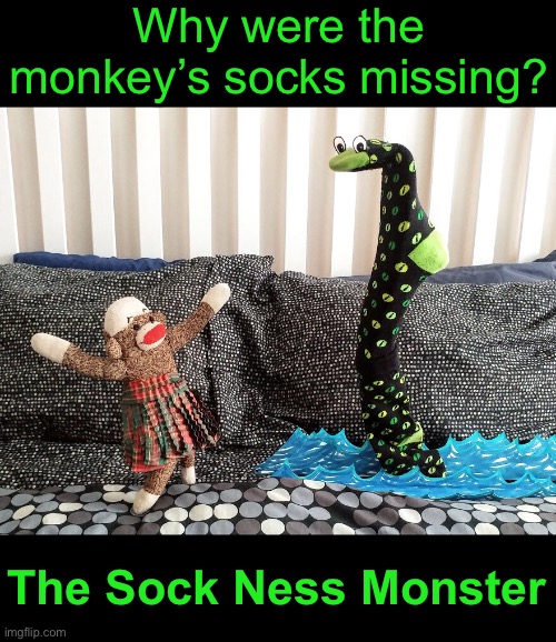 Some Will Say This Joke Socks | Why were the monkey’s socks missing? The Sock Ness Monster | image tagged in funny memes,dad jokes,eyeroll | made w/ Imgflip meme maker