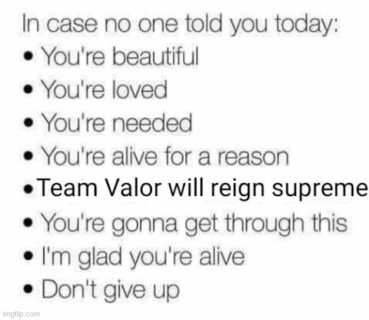 GO Team Valor! | made w/ Imgflip meme maker