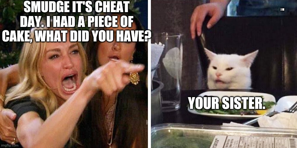Smudge the cat | SMUDGE IT'S CHEAT DAY. I HAD A PIECE OF CAKE, WHAT DID YOU HAVE? J M; YOUR SISTER. | image tagged in smudge the cat | made w/ Imgflip meme maker