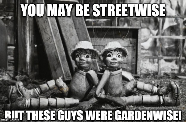 YOU MAY BE STREETWISE; BUT THESE GUYS WERE GARDENWISE! | image tagged in bill and ben | made w/ Imgflip meme maker