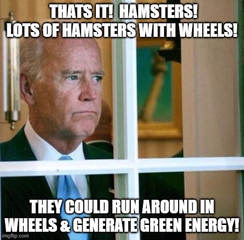 Sad Joe Biden | THATS IT!  HAMSTERS! LOTS OF HAMSTERS WITH WHEELS! THEY COULD RUN AROUND IN WHEELS & GENERATE GREEN ENERGY! | image tagged in sad joe biden | made w/ Imgflip meme maker