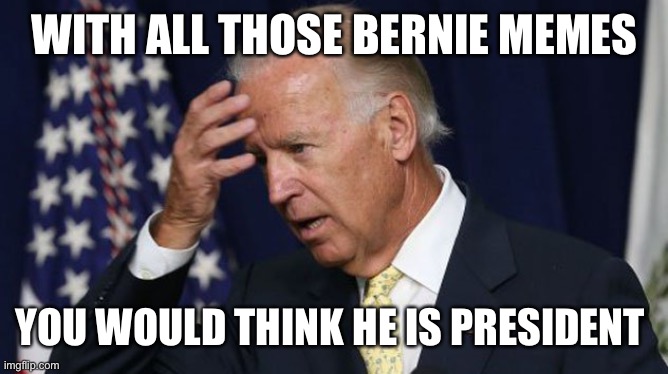 Joe Biden worries | WITH ALL THOSE BERNIE MEMES YOU WOULD THINK HE IS PRESIDENT | image tagged in joe biden worries | made w/ Imgflip meme maker