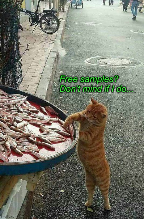 Freebies | Free samples? Don’t mind if I do... | image tagged in funny memes,funny cat memes,cats | made w/ Imgflip meme maker