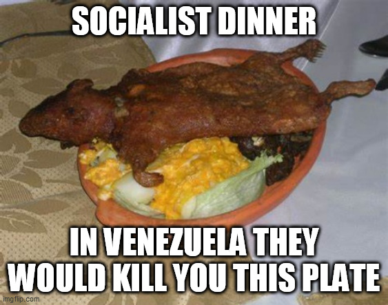 din din | SOCIALIST DINNER; IN VENEZUELA THEY WOULD KILL YOU THIS PLATE | image tagged in din din | made w/ Imgflip meme maker