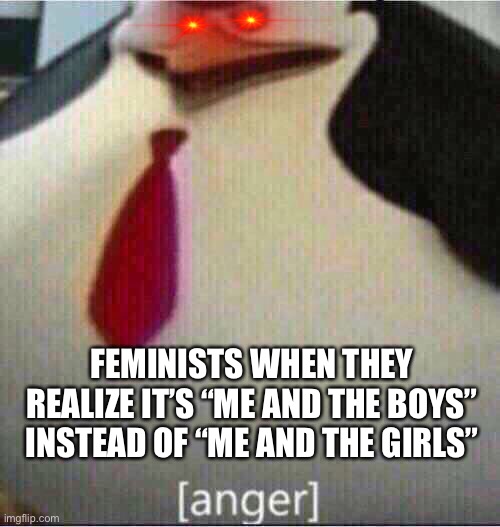 ME AND THE BOIS | FEMINISTS WHEN THEY REALIZE IT’S “ME AND THE BOYS” INSTEAD OF “ME AND THE GIRLS” | image tagged in anger,me and the boys,triggered feminist | made w/ Imgflip meme maker