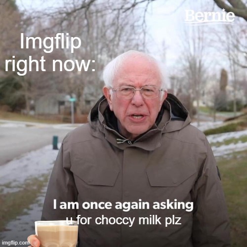 HELP ME RN WHY IS THIS A THING | Imgflip right now:; u for choccy milk plz | image tagged in memes,bernie i am once again asking for your support,chocolate milk,choccy milk | made w/ Imgflip meme maker