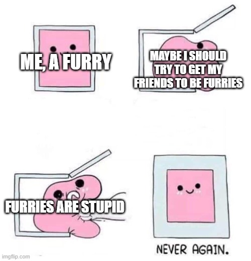 the life of a furry ;w; | MAYBE I SHOULD TRY TO GET MY FRIENDS TO BE FURRIES; ME, A FURRY; FURRIES ARE STUPID | image tagged in never again | made w/ Imgflip meme maker