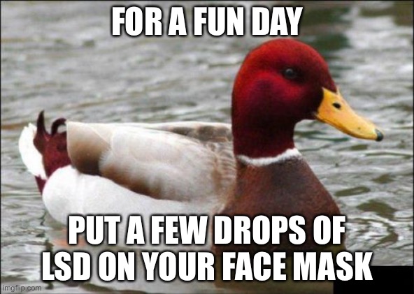 Covid advice | FOR A FUN DAY; PUT A FEW DROPS OF LSD ON YOUR FACE MASK | image tagged in memes,malicious advice mallard,lsd,covid-19,fun | made w/ Imgflip meme maker