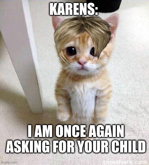 Cute Cat |  KARENS:; I AM ONCE AGAIN ASKING FOR YOUR CHILD | image tagged in memes,cute cat | made w/ Imgflip meme maker