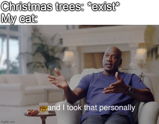 And i took that personally. |  Christmas trees: *exist*
My cat: | image tagged in and i took that personally,cats | made w/ Imgflip meme maker