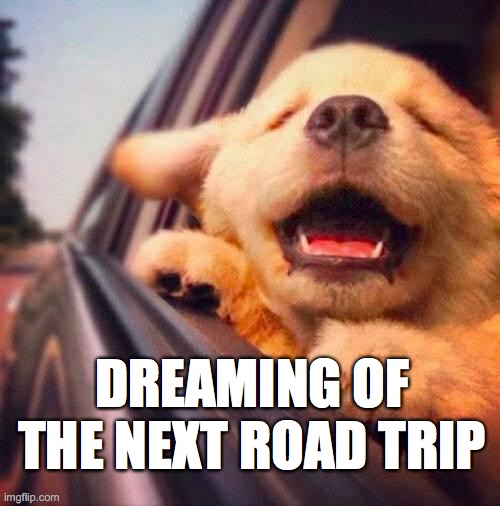 Road trip dreaming | DREAMING OF THE NEXT ROAD TRIP | image tagged in happy puppy | made w/ Imgflip meme maker