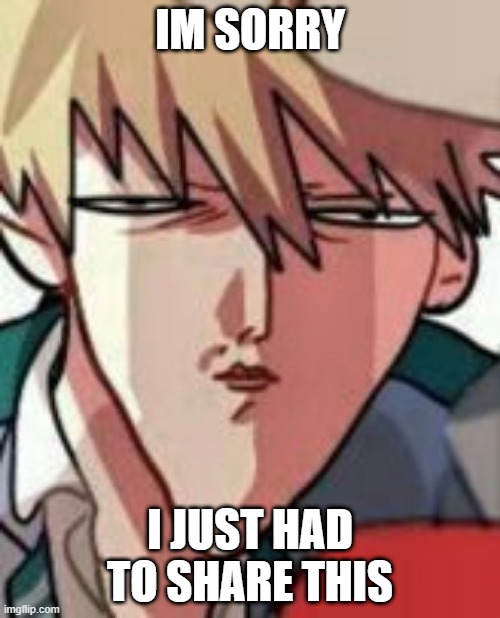*insert title here* | IM SORRY; I JUST HAD TO SHARE THIS | image tagged in bakugo wtf | made w/ Imgflip meme maker