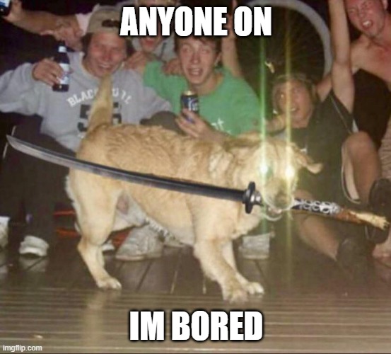 Katana Dog | ANYONE ON; IM BORED | image tagged in katana dog | made w/ Imgflip meme maker