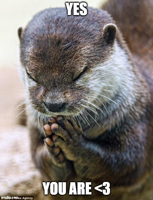 Thank you Lord Otter | YES; YOU ARE <3 | image tagged in thank you lord otter | made w/ Imgflip meme maker