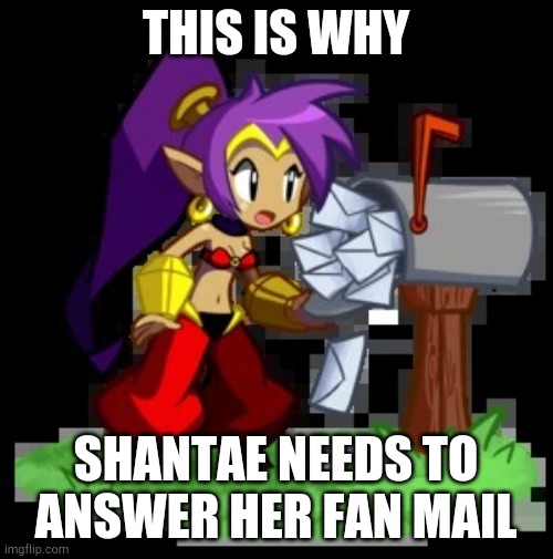 Shantae's mail Falls out | THIS IS WHY; SHANTAE NEEDS TO ANSWER HER FAN MAIL | image tagged in shantae | made w/ Imgflip meme maker