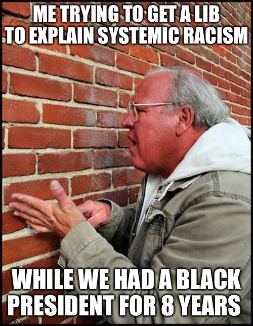 Systemic racism is a LIE | ME TRYING TO GET A LIB TO EXPLAIN SYSTEMIC RACISM; WHILE WE HAD A BLACK PRESIDENT FOR 8 YEARS | image tagged in politics | made w/ Imgflip meme maker