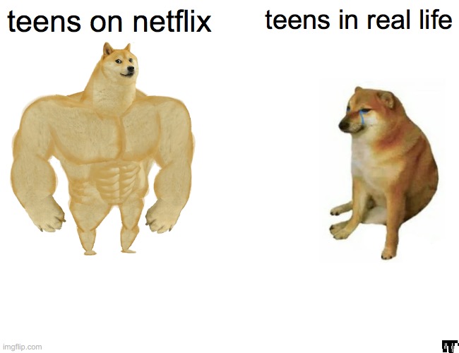 memes #6 | teens on netflix; teens in real life | image tagged in memes,buff doge vs cheems | made w/ Imgflip meme maker