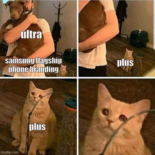 samsung meme | ultra; plus; samsung flagship phone branding; plus | image tagged in sad cat holding dog | made w/ Imgflip meme maker