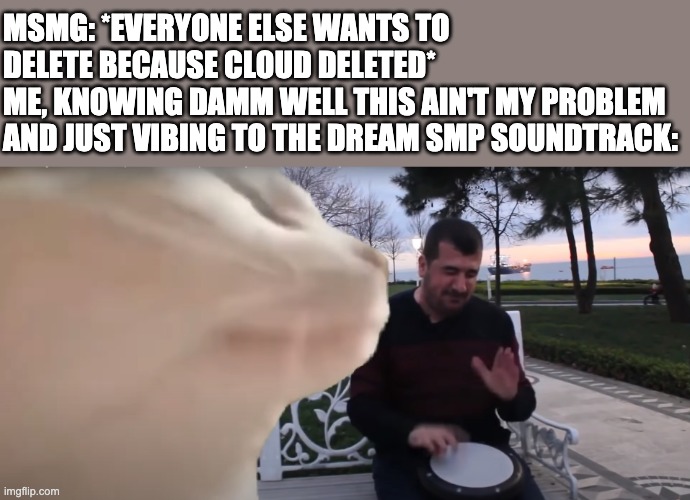 Cat Vibing To Ievan Polkka Cat Meme Vibing Music | MSMG: *EVERYONE ELSE WANTS TO DELETE BECAUSE CLOUD DELETED*
ME, KNOWING DAMM WELL THIS AIN'T MY PROBLEM AND JUST VIBING TO THE DREAM SMP SOUNDTRACK: | image tagged in cat vibing to ievan polkka cat meme vibing music | made w/ Imgflip meme maker