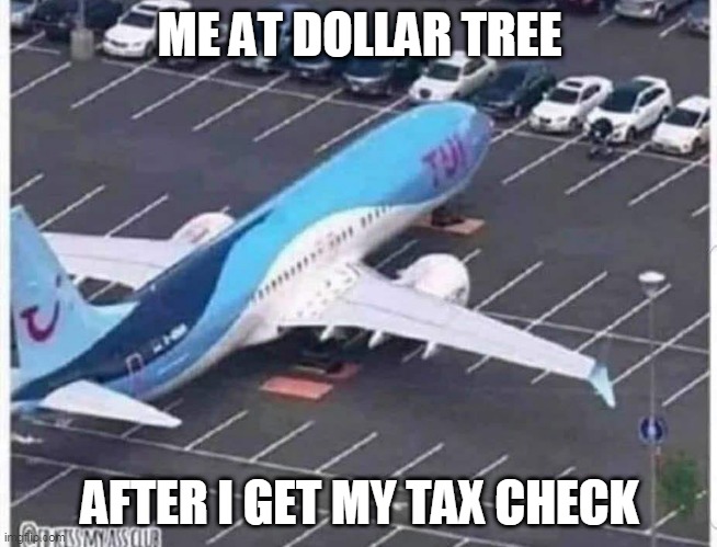 Tax Check Ballin | ME AT DOLLAR TREE; AFTER I GET MY TAX CHECK | image tagged in tax refund,income taxes,check | made w/ Imgflip meme maker