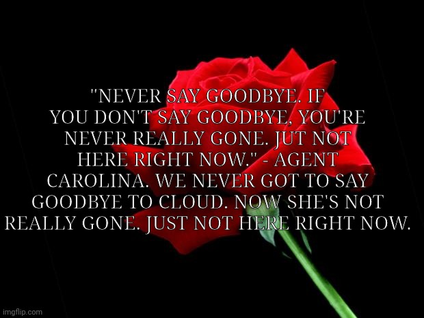 rose | "NEVER SAY GOODBYE. IF YOU DON'T SAY GOODBYE, YOU'RE NEVER REALLY GONE. JUT NOT HERE RIGHT NOW." - AGENT CAROLINA. WE NEVER GOT TO SAY GOODBYE TO CLOUD. NOW SHE'S NOT REALLY GONE. JUST NOT HERE RIGHT NOW. | image tagged in rose | made w/ Imgflip meme maker