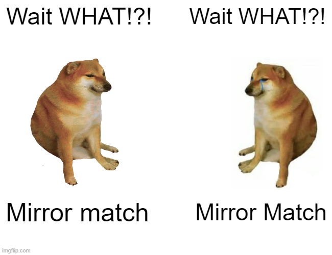 Mirror Match | Wait WHAT!?! Wait WHAT!?! Mirror match; Mirror Match | image tagged in memes,buff doge vs cheems,mirror,cheems | made w/ Imgflip meme maker
