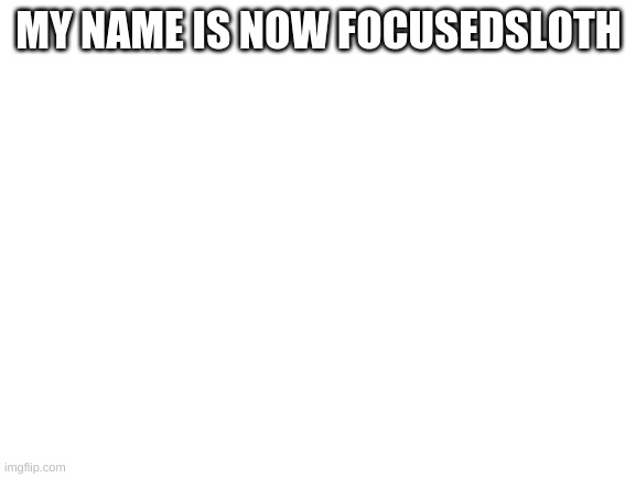 Blank White Template | MY NAME IS NOW FOCUSEDSLOTH | image tagged in blank white template | made w/ Imgflip meme maker