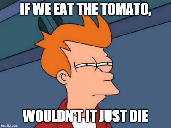 Futurama Fry Meme | IF WE EAT THE TOMATO, WOULDN'T IT JUST DIE | image tagged in memes,futurama fry | made w/ Imgflip meme maker